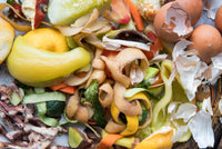 How Much Food Americans Waste and What You Can Do