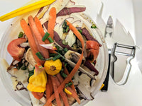 Composting: electric vs. professional or traditional options
