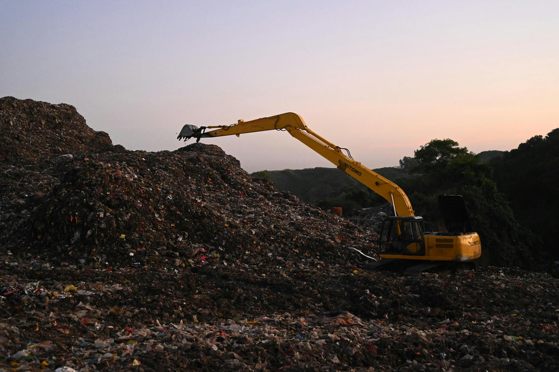 Food Scraps in the Landfill: What's Actually Happening Underground