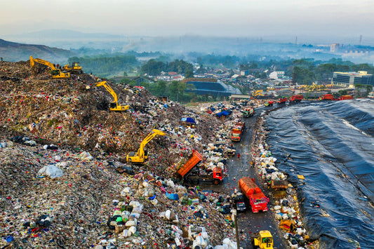 Organic Waste Laws by State: What's Already Required and What's Coming