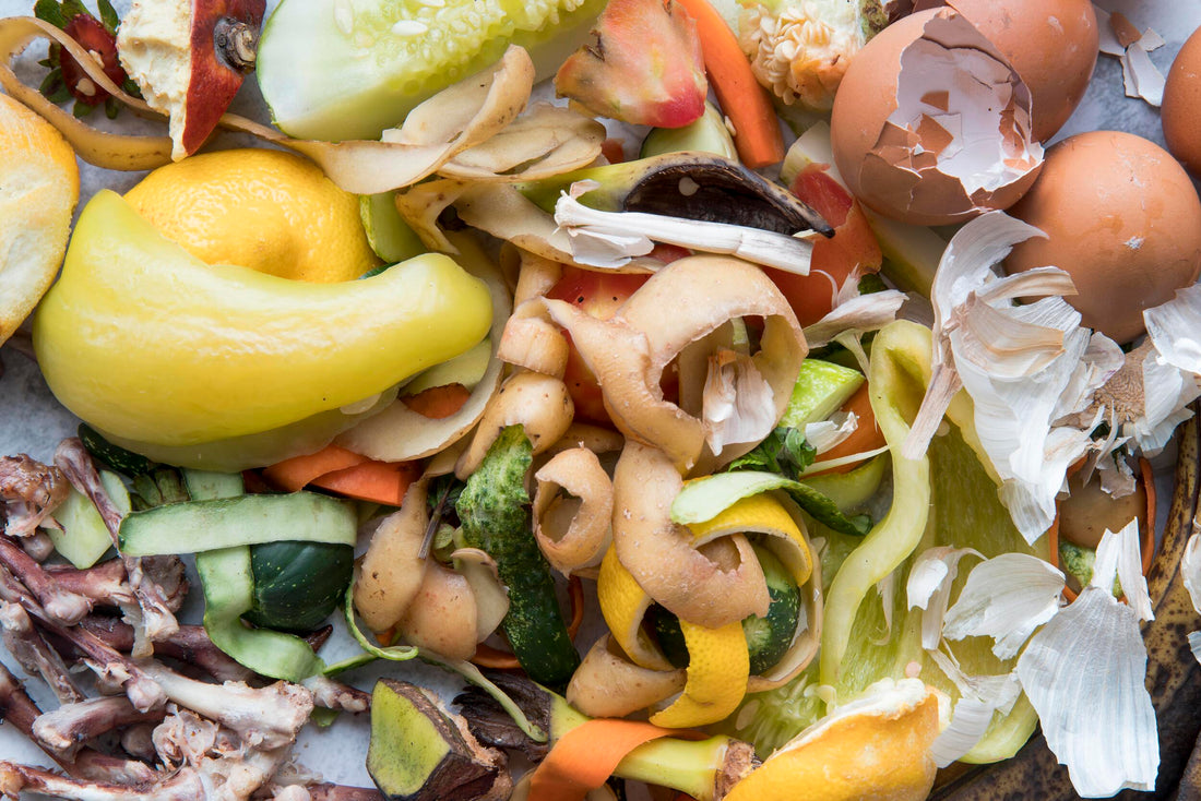 How Much Food Americans Waste and What You Can Do