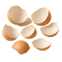 Egg shells